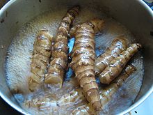 jerusalem artichokes-wikipedia