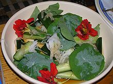 nasturtiums-wikipedia
