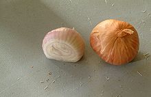 shallots-wikipedia