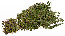 thyme-wikipedia