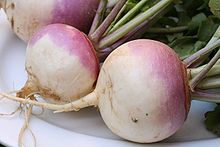 turnip-wikipedia