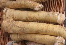 horseradish tubers-wikipedia