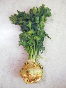 celeriac-wikipedia